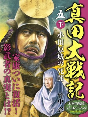 cover image of 真田大戦記　五　下　小田原城の死闘